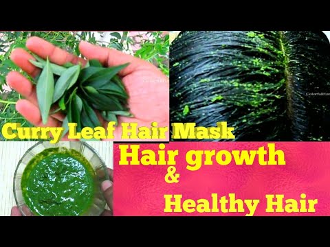 Homemade curry leaves herbal hair pack for hair regrowth  For long and  thick hair  YouTube