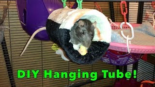 DIY Hanging Tube (for Rats)!