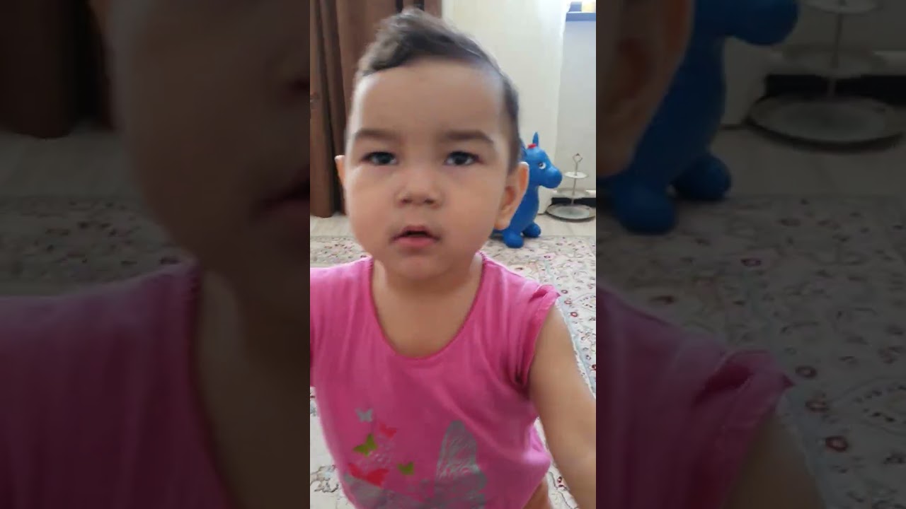 Мысық Муиза