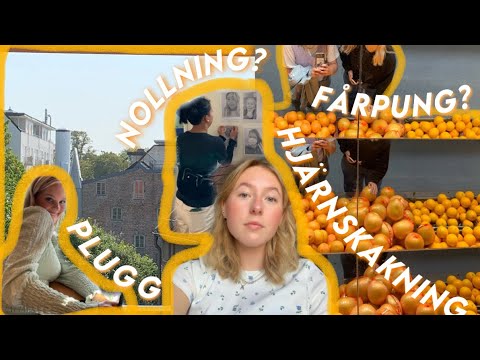SKOLVLOGG 4 -