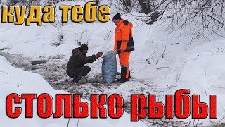 Я В ШОКЕ ОТ УВИДЕННОГО! ЧТО СТАЛО С ЭТОЙ РЫБОЙ? МЕРТВЫЙ РУЧЕЙ ЗАМОР РЫБЫ. Кладоискатель Руся.