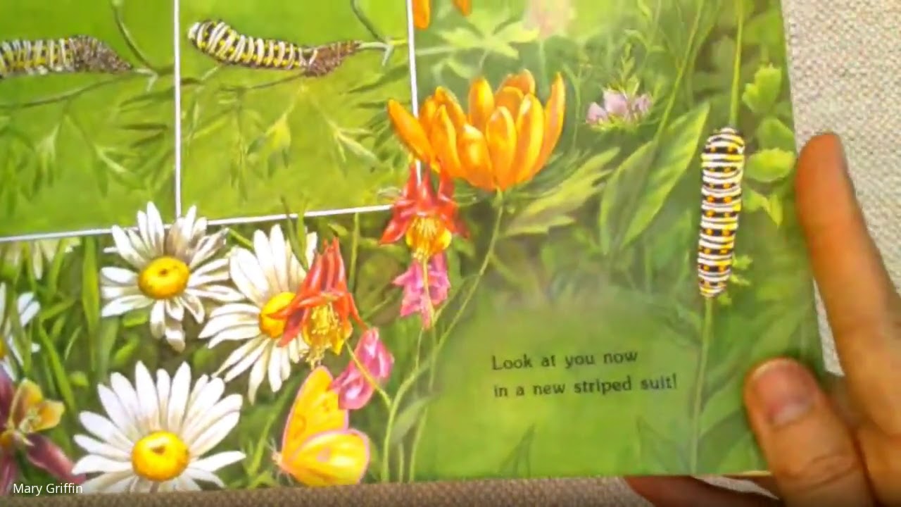 Read Aloud Where Butterflies Grow by Joanne Ryder YouTube