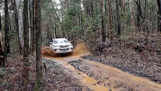 MUST GO!!! Wombat State Forest 4WD