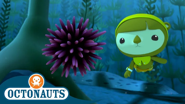 Octonauts - The Urchin Invasion | Cartoons for Kid...