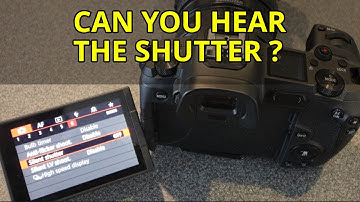 Can You Hear The Canon EOS R Electronic Silent Shutter. Short Video Comparing With and Without