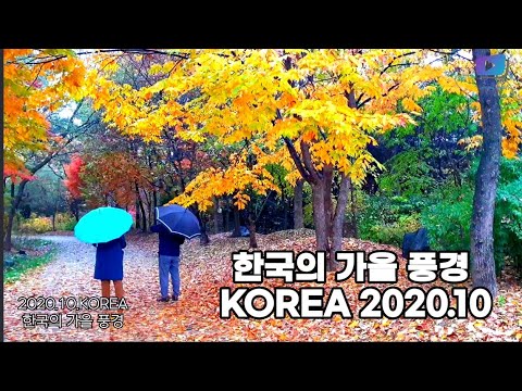 KOREA 2020.10 한국의 가을풍경 - YouTube