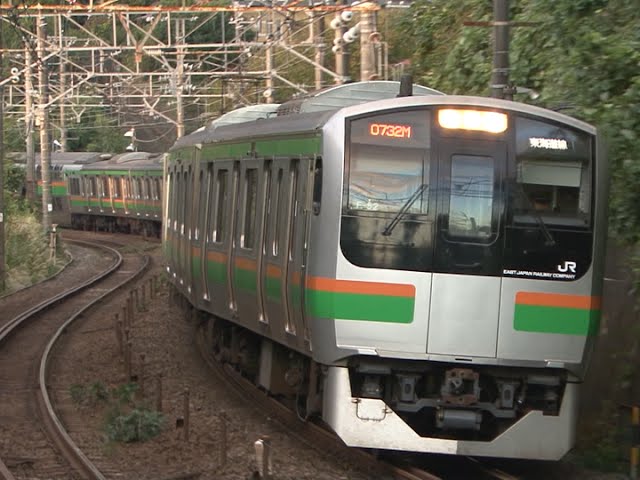 (HD) 東海道本線のレア車!? 湘南色のE217系近郊形電車 ~The train of green tea and orange colour~