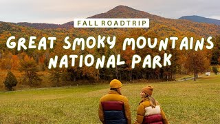 FALL ROADTRIP: BLUE RIDGE PKWY & SMOKY MTN NP  Best Hikes, Black Bears, & Fall Foliage!