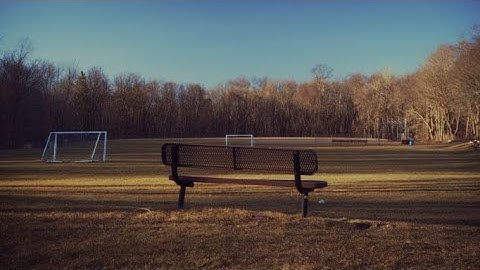 Bench | Moving Picture II - Sigma fp