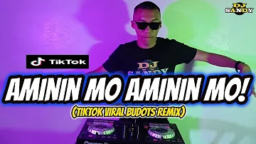 Aminin Mo Aminin Mo (TikTok Viral Budots Remix) | Dj Sandy Remix