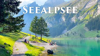 Seealpsee, Switzerland 4K - Amazing Beautiful Nature Video, Scenic Relaxation Film, 4K Video Ultrahd