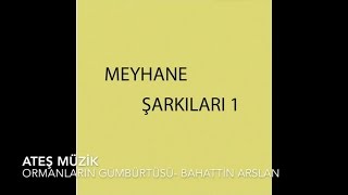 Bahattin Arslan - Ormanların Gümbürtüsü Resimi