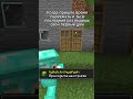 Правда в Minecraft #shorts