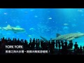 沖繩線上-景點/體驗之旅-海洋博公園/美麗海水族館 の動画、YouTube動画。