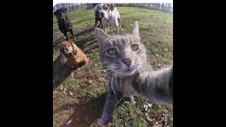 Arkadaş Ortamımın Nasıl Olduğunu Sormuş Sunuz?