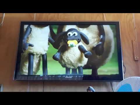 Timmy Crying Shaun The Sheep Farmers Whistles