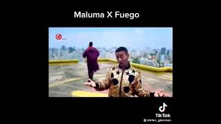 Malumafuego