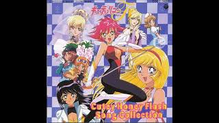 Cutie Honey Flash Song Collection ~ Anata ni Todoketai HQ