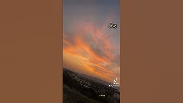 ماهر المعيقلي ،  شاركنا الأجر #ارح_سمعك #المعيقلي  #بر_الوالدين #الأم #الأب #قرآن_كريم #تلاوة_خاشعة