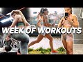 FULL WEEK OF WORKOUTS | Train with me!