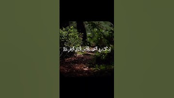 القارئ الشيخ احمد سليمان || سورة مريم