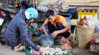 Full Video : 100 Days Of Harvesting Apricots, Chayote, Duck Eggs - Camping Alone In The Wild Forest