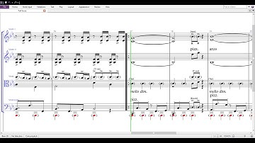 Percussive String Quartet