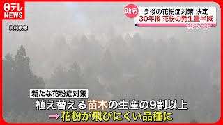 【花粉】発生量「約30年後に半減目指す」 政府が花粉症対策取りまとめ