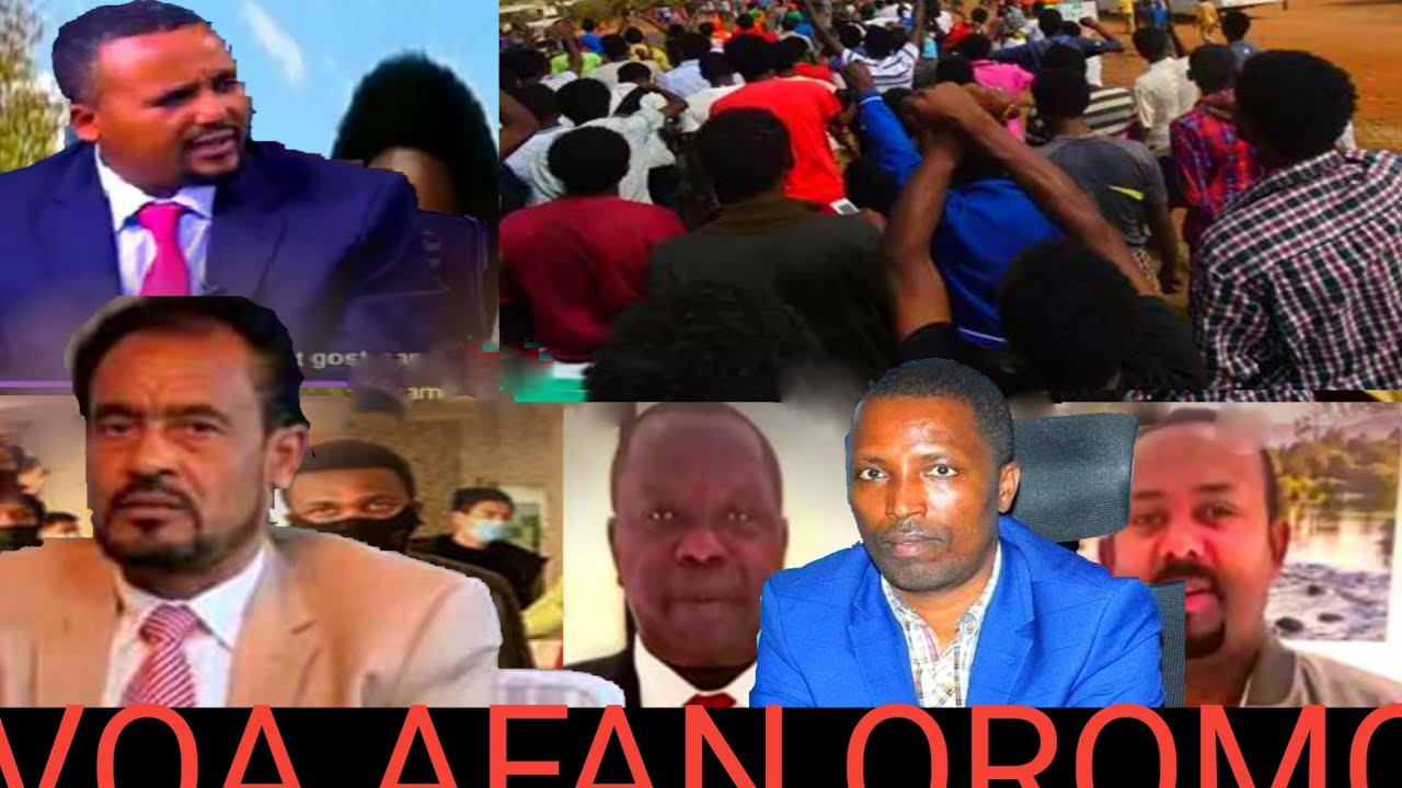 Oduu Owitu Voa Afan Oromo March112020 Youtube