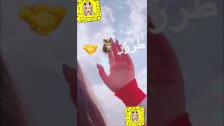 شلونكم...