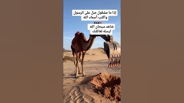 Omg 😱😳 #اكسبلور #دويتو #القران #معلومات #تيكتوك #duet #تلاوات #animals