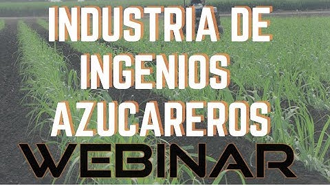 Comprender y seleccionar refractarios de alto rendimiento basados ​​en sus propiedades físicas