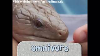 Fetch With Ruff Ruffman How To Get Out Your Inner Hip Hop