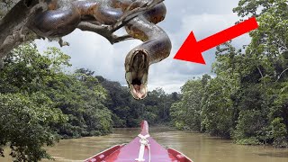 10 Scariest Encounters With Snakes
