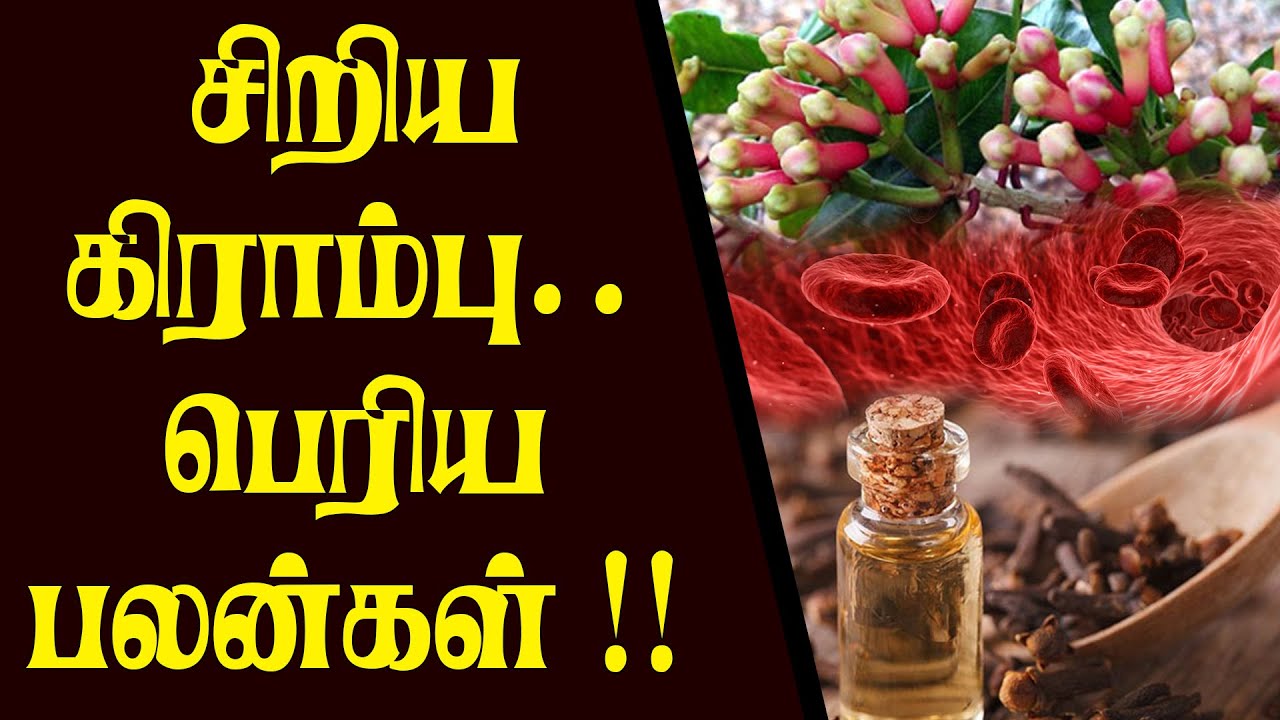 Mind Blowing Benefits and Uses of Cloves A Day In Tamil - YouTube