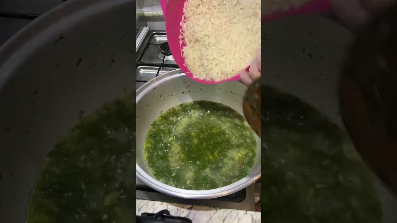 رز باجلا واشبنت