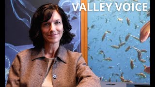 Valley Voice I Hub Ocean
