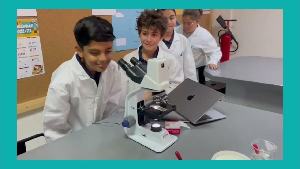 MYP 1 Experiment On The Difference Between Living Cells And Non Living myp-1-experiment-on-the-difference-between-living-cells-and-non-living