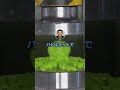 【悲報】人が〇ぬ確率がないスポーツ、卓球しかない。