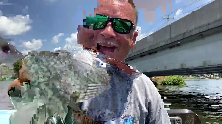 Summer Bridge Fish - Crappie Fishing - High Rock Lake