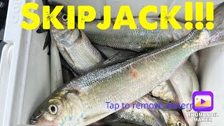 Skipjack Fire at Kentucky Dam 51324