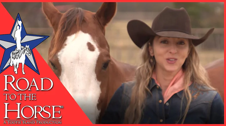 Road to the Horse 2017 - Barbara Cox
