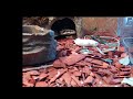 **"Ball Python Meets Camera for the First Time 🐍 Funny & Cute Snake Reaction!"