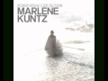 Marlene Kuntz - Ricovero virtuale