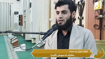 رعد محمد ,, قراءة ما تیسیر من سورة (الزمر)