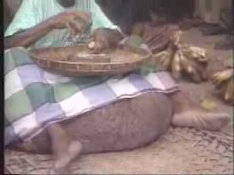 фото яйца большие