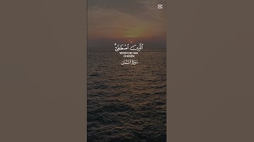 #سورة_النمل #المصحف #يارب #اكسبلور #قرآن #راحة_نفسية #قران_كريم