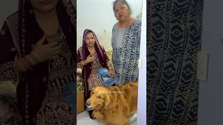 PeaNut's Toy Broke 😱 #shorts