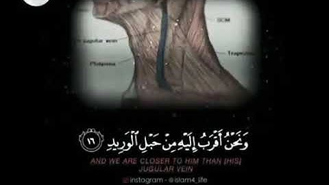 سورة ق ( ١٦-١٩ ) /  Surat Qaf ۝ Verse 16-19