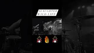 Slaughter - Wild Life Clip (12-10-22)